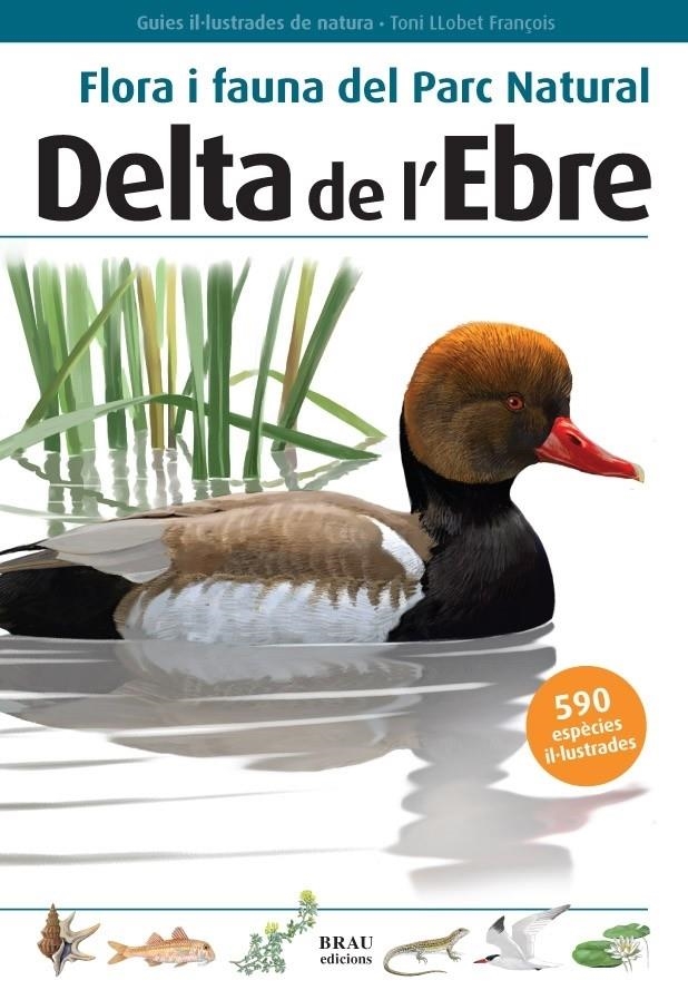 DELTA DE L'EBRE. FLORA I FAUNA DEL PARC NATURAL | 9788496905184 | TONI LLOBET