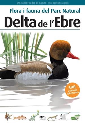 DELTA DE L'EBRE. FLORA I FAUNA DEL PARC NATURAL | 9788496905184 | TONI LLOBET