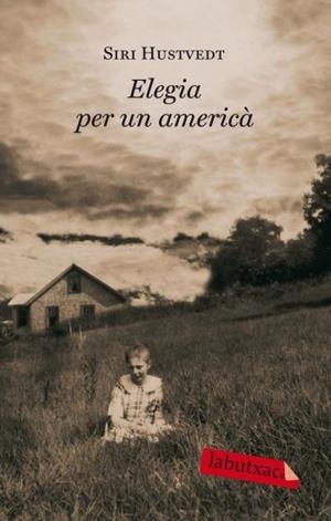 ELEGIA PER UN AMERICA | 9788499301297 | SIRI HUSTVEDT