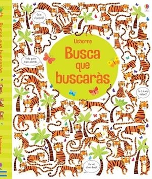 BUSCA QUE BUSCARAS | 9781409593348