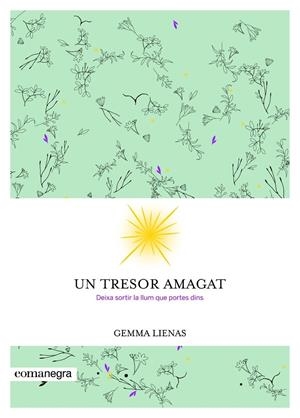 UN TRESOR AMAGAT | 9788416605347 | GEMMA LIENAS