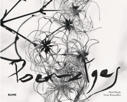 POEMATGES | 9788416965250 | MARTI BOADA / TERESA ROMANILLOS