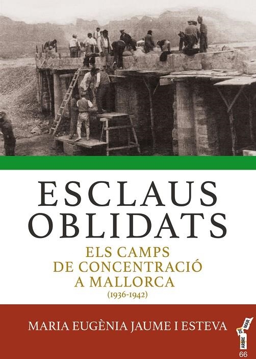ESCLAUS OBLIDATS   ELS CAMPS DE CONCENTRACIO A MALLORCA | 9788417113643 | MARIA EUGENIA JAUME ESTEVA
