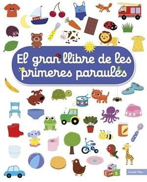EL GRAN LLIBRE DE LES PRIMERES PARAULES | 9788491377900