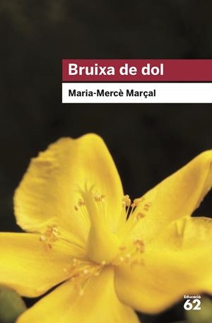 BRUIXA DE DOL | 9788415954736 | MARIA MERCE MARÇAL