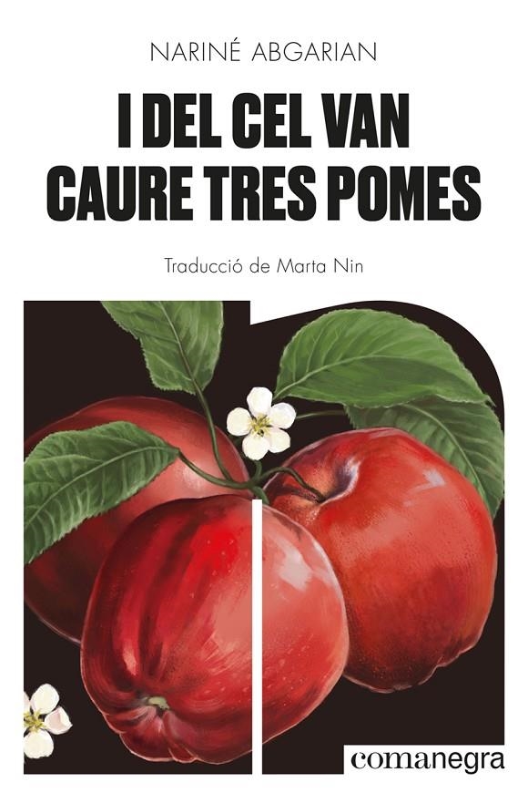I DEL CEL VAN CAURE TRES POMES | 9788418857041 | NARINE ABGARIAN