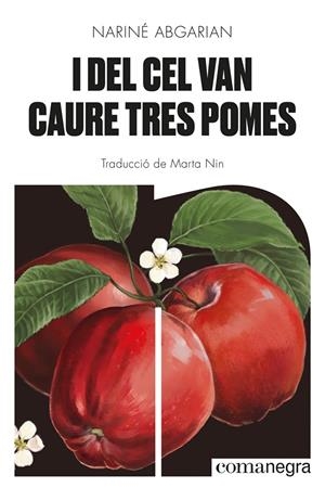 I DEL CEL VAN CAURE TRES POMES | 9788418857041 | NARINE ABGARIAN