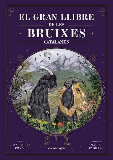 EL GRAN LLIBRE DE LES BRUIXES CATALANES | 9788418857751 | JOAN DE DEU PRATS / MARIA PADILLA