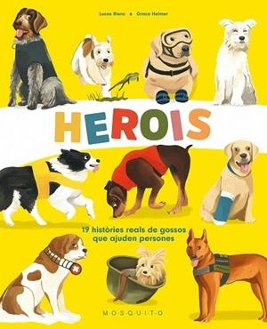 HEROIS    19 HISTORIES REALS DE GOSSOS QUE AJUDEN PERSONES | 9788419095046 | LUCAS RIERA / GRACE HELMER