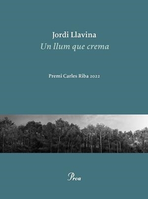 LA LLUM QUE CREMA | 9788475889979 | JORDI LLAVINA