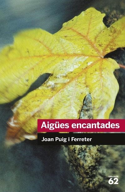 AIGÜES ENCANTADES | 9788492672431 | JOAN PUIG FERRATER