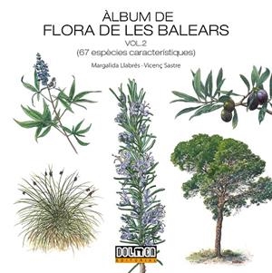 ÀLBUM DE FLORA DE LES BALEARS VOLUM 2 | 9788410390478 | LLABRÉS, MARGALIDA