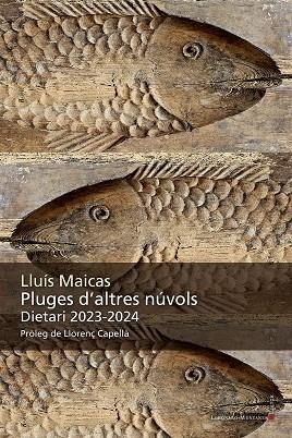 PLUGES D'ALTRES NÚVOLS | 9788410377240 | MAICAS, LLUÍS