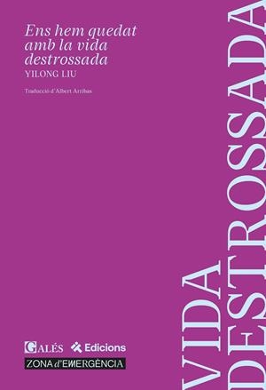 ENS HEM QUEDAT AMB LA VIDA DESTROSSADA | 9791399053500 | LIU, YILONG