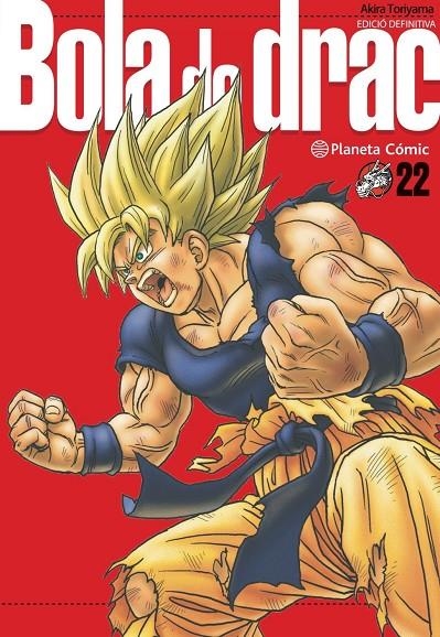 BOLA DE DRAC DEFINITIVA N. 22/34 | 9788413419046 | , AKIRA TORIYAMA