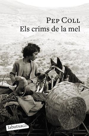 ELS CRIMS DE LA MEL | 9791387802196 | COLL, PEP
