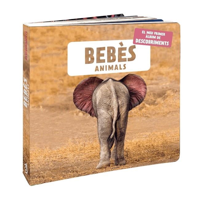 BEBÈS ANIMALS | 9788418762109 | , NATURAGENCY