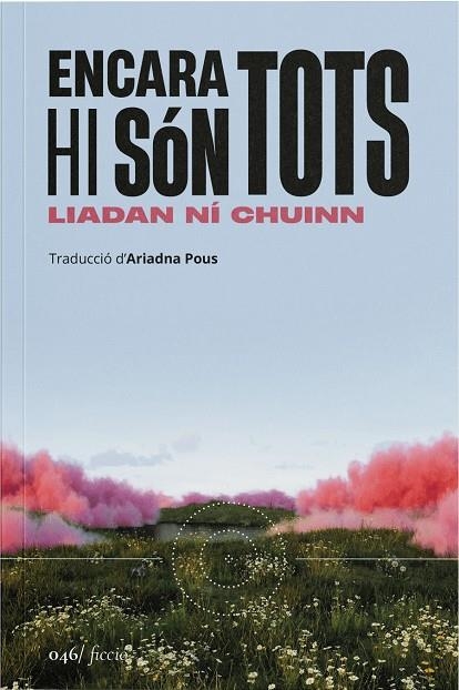 ENCARA HI SÓN TOTS | 9788419059598 | NI CHUINN, LIADAN
