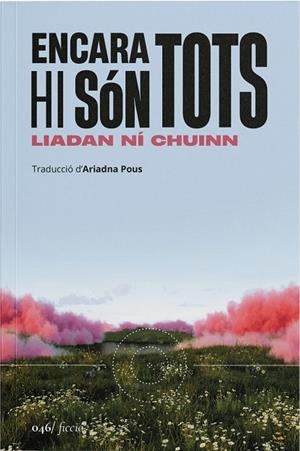 ENCARA HI SÓN TOTS | 9788419059598 | NI CHUINN, LIADAN