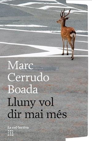LLUNY VOL DIR MAI MÉS | 9791387800260 | CERRUDO BOADA, MARC